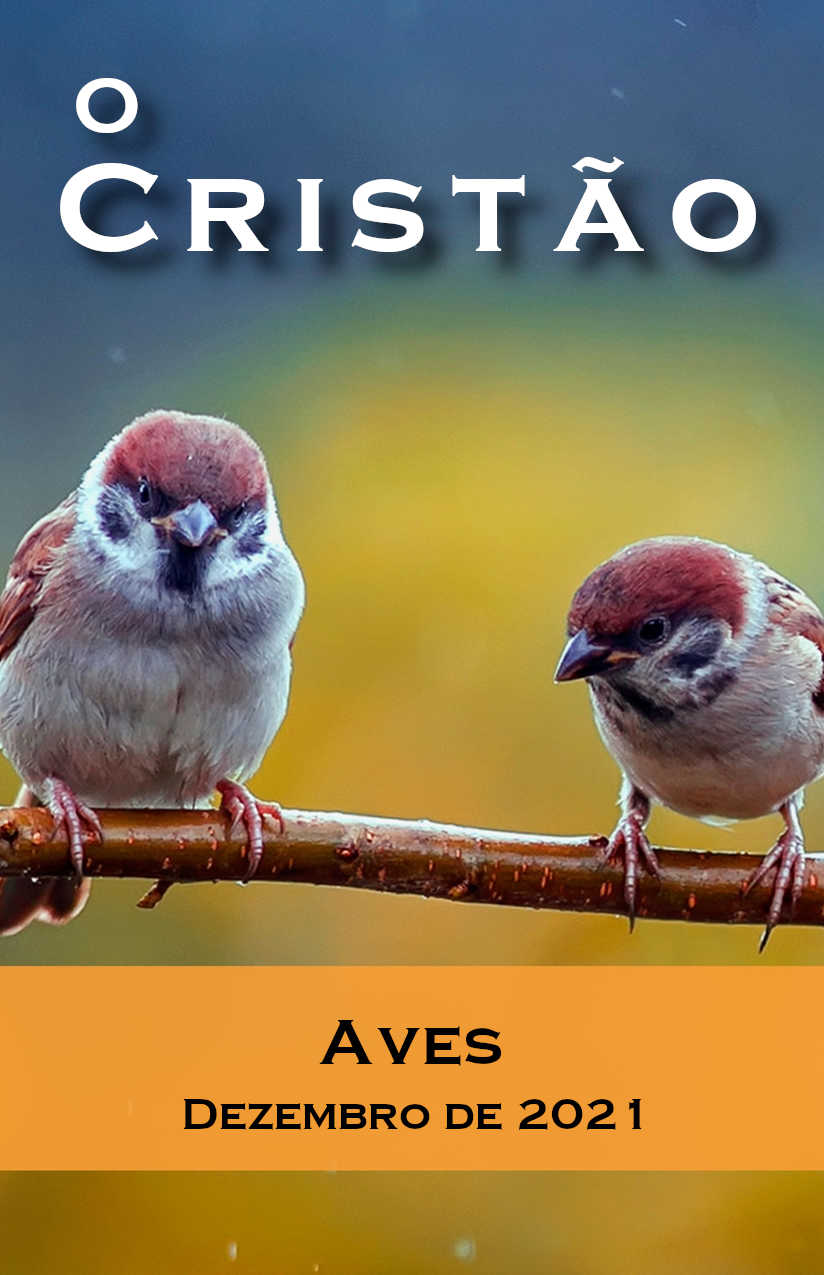 Capa