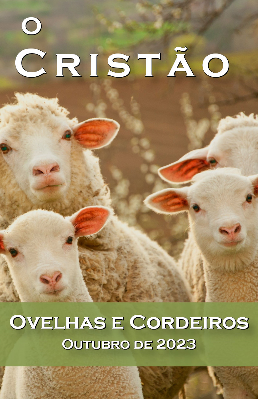 Ovelhas e Cordeiros