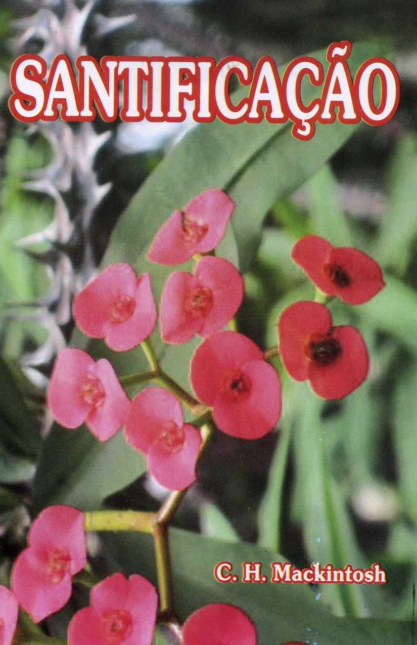 Santificação – O Que É? – Mackintosh C. H.