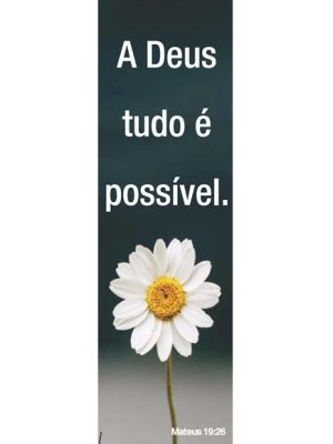 Pacote com 25 Marcadores de Páginas