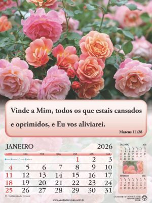 Calendário de Parede 2026 - 12 páginas (21x28cm)