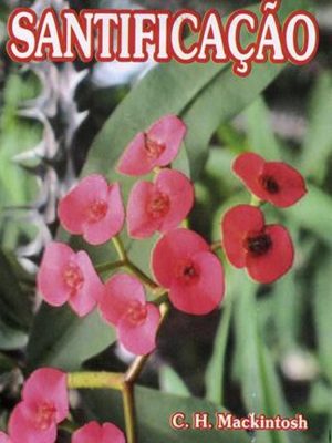 Santificação
