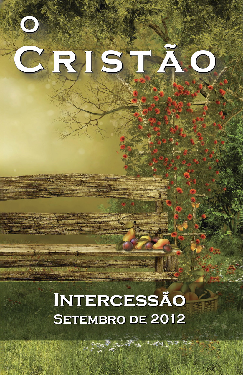 Intercessão